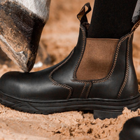 Mountain Horse Protective Jodphurs stålhätta