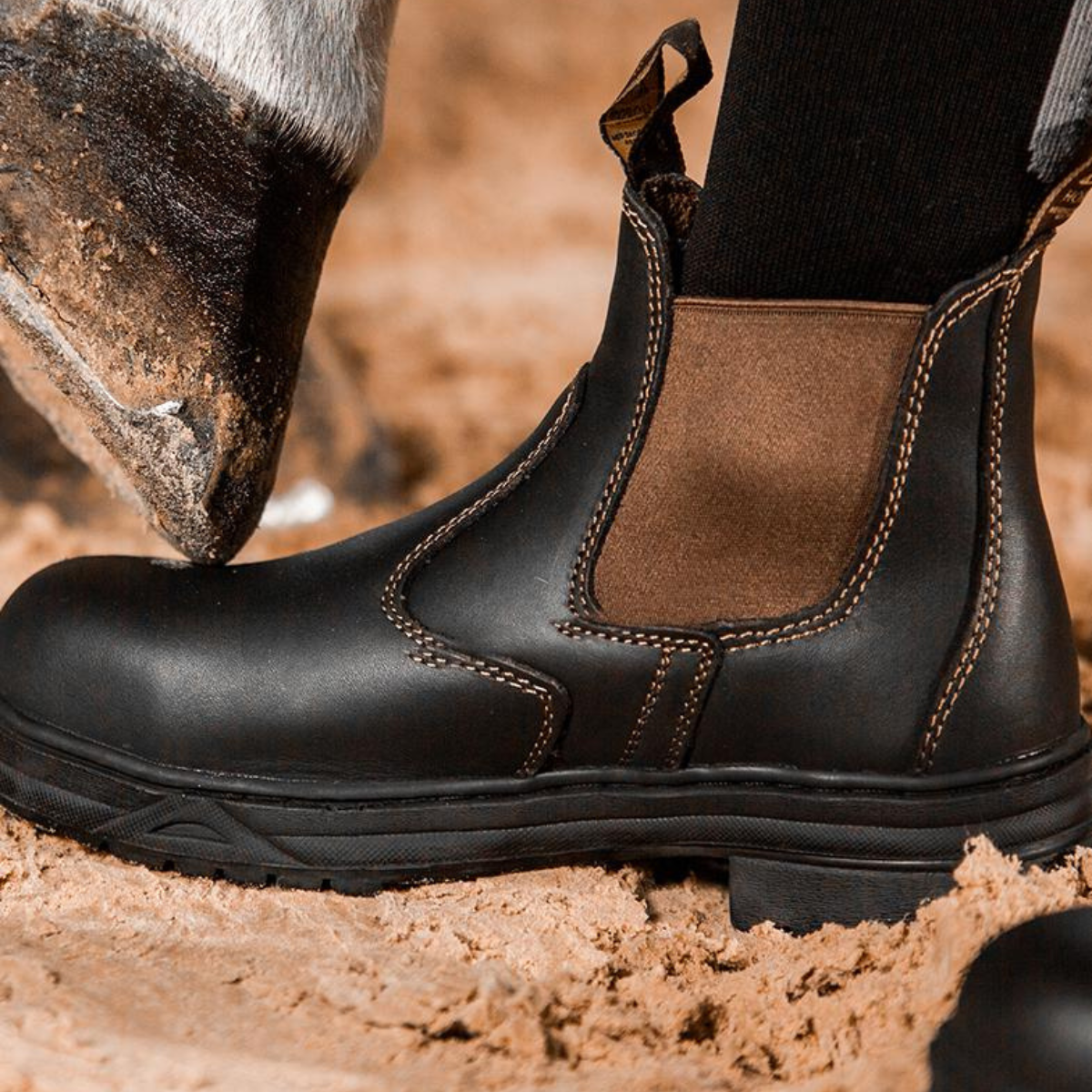 Mountain Horse Protective Jodphurs stålhätta