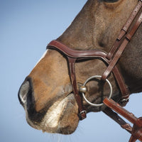 Antares Precision träns med Y-nosgrimma