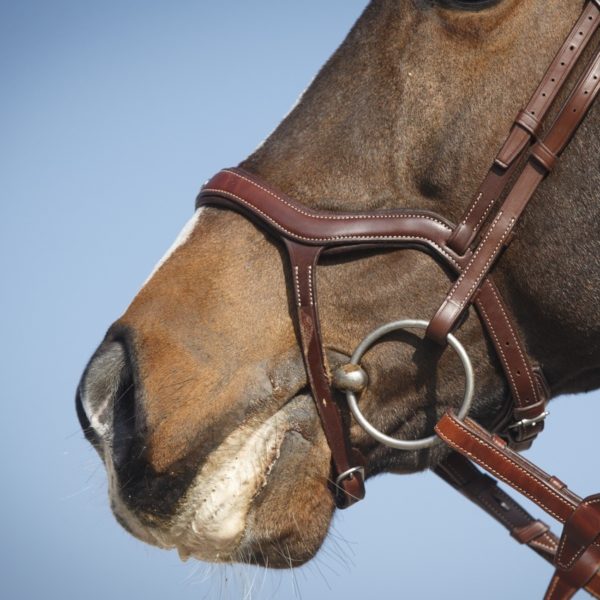 Antares Precision träns med Y-nosgrimma