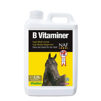 NAF B-Vitaminer flytande