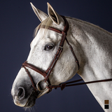 Dyon NE Träns komb.nosgrimma