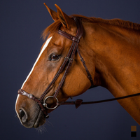 Dyon NE Träns remontnosgrimma