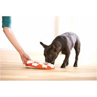 Nina Ottosson Dog Smart Nivå 1