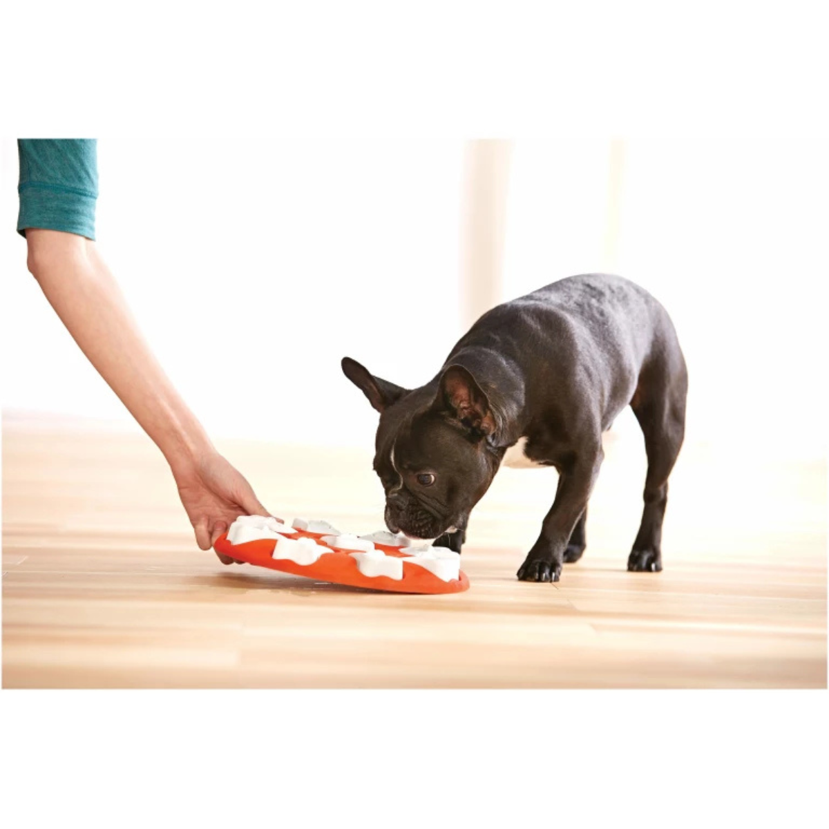 Nina Ottosson Dog Smart Nivå 1