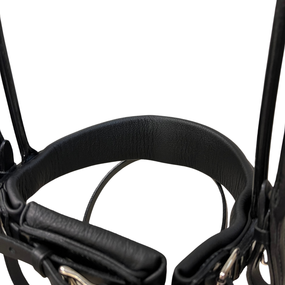 Otto Schumacher Bellevue Elegant Rundsytt Träns Focus