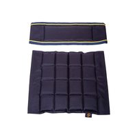 One Equestrian Director's Chair Low