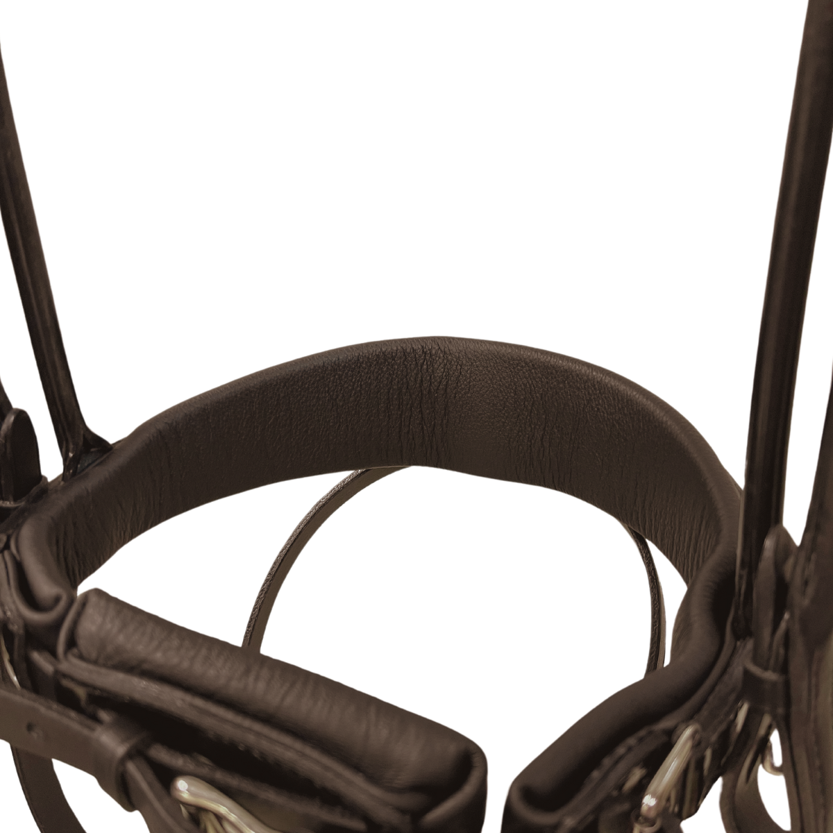 Otto Schumacher Bellevue Elegant Rundsytt Träns Focus