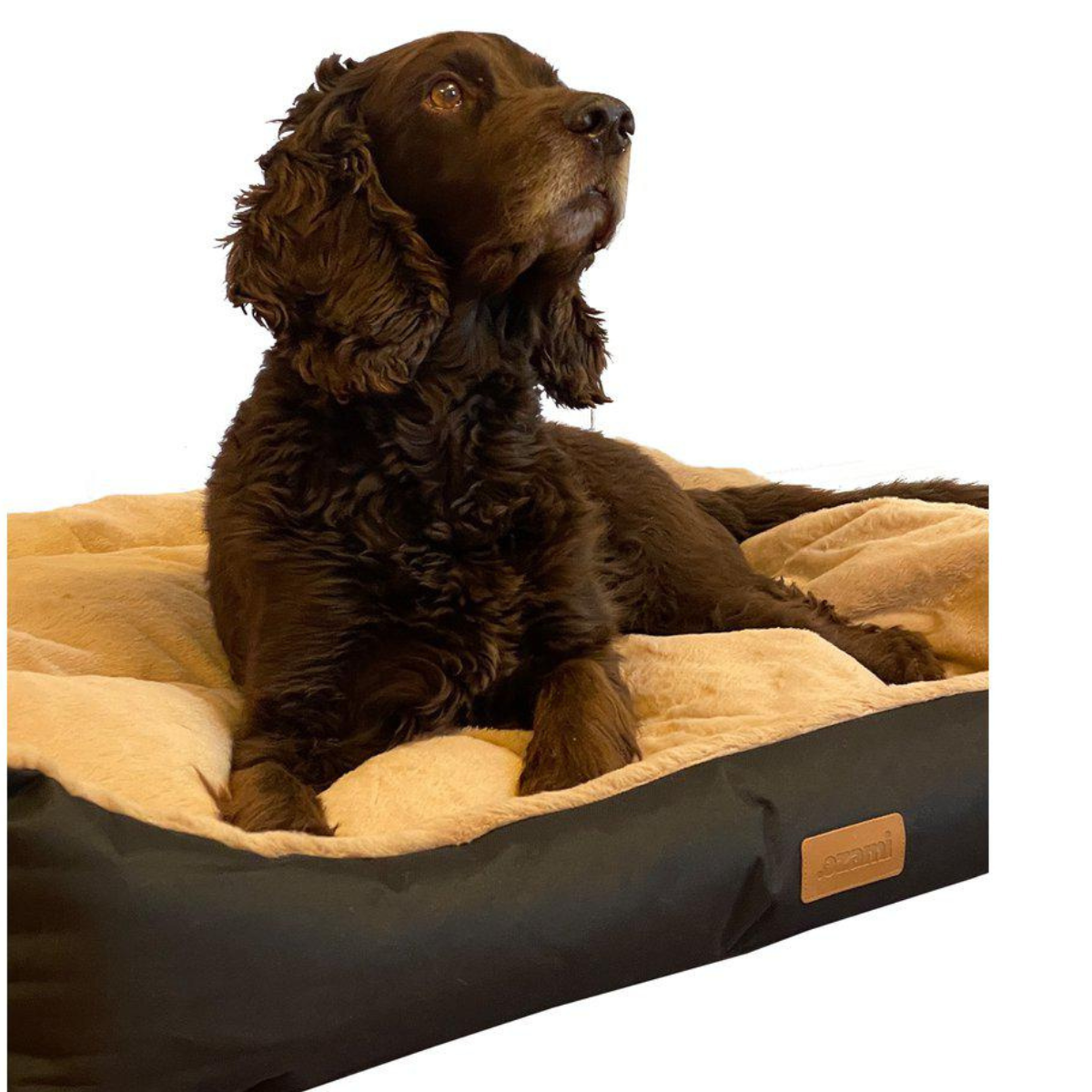 Ozami Hundbädd Stella