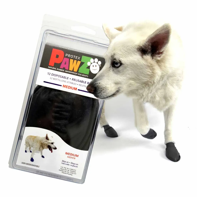 PawZ Hundskor