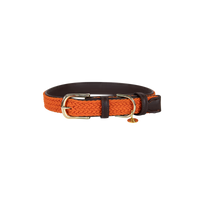 Kentucky Hundhalsband Plaited Nylon