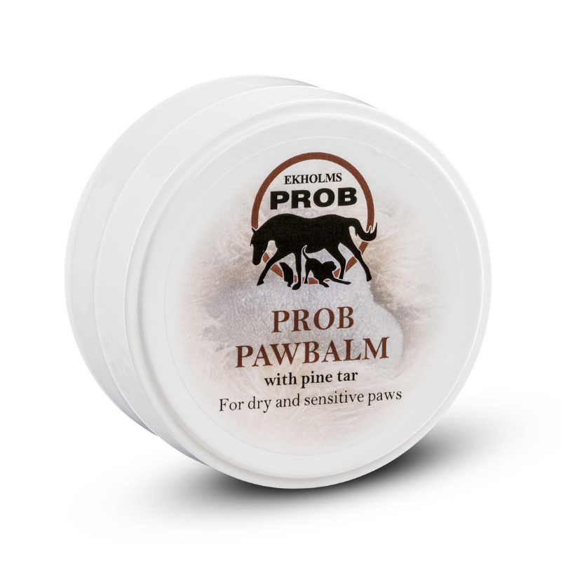 PROB PAW OINTMENT