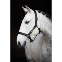 Protector Halter Duster