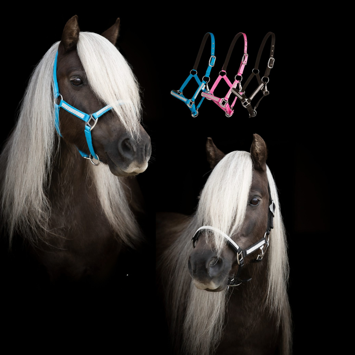 Protector Shetland halter with rhinestones