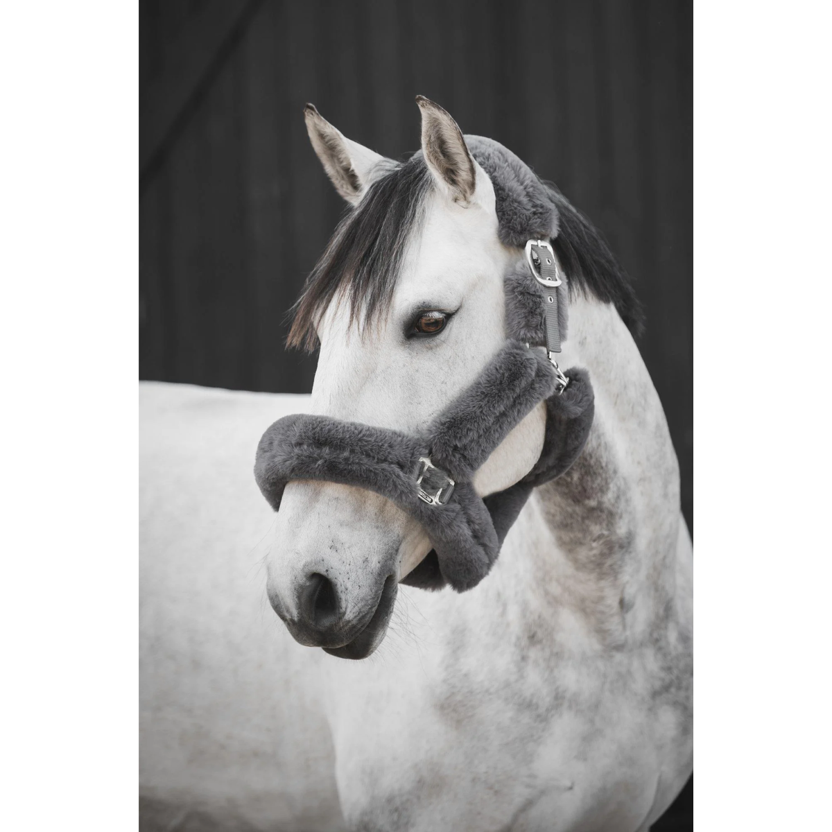 Protector halter Cozy with fur