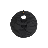 Kentucky Quarter Guard