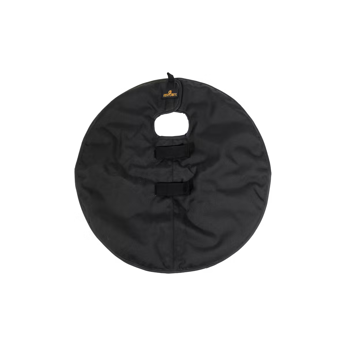 Kentucky Quarter Guard