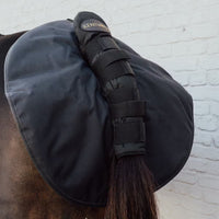 Kentucky Quarter Guard