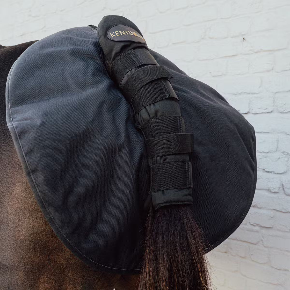 Kentucky Quarter Guard