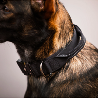 Rukka Mission Control Dog Collar