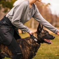 Rukka Mission Control Dog Collar