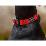 Rukka Pets Bliss Hundhalsband
