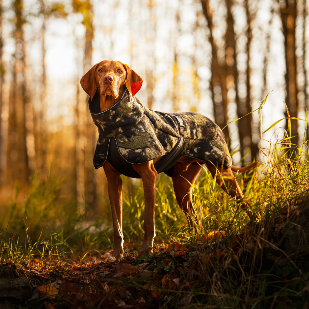 Rukka Pets Comfy Pile Hundtäcke