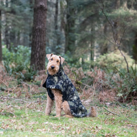 Rukka Pets Comfy Pile Hundtäcke