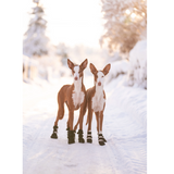 Rukka Pets Fleece boots 