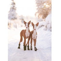 Rukka Pets Fleece boots 