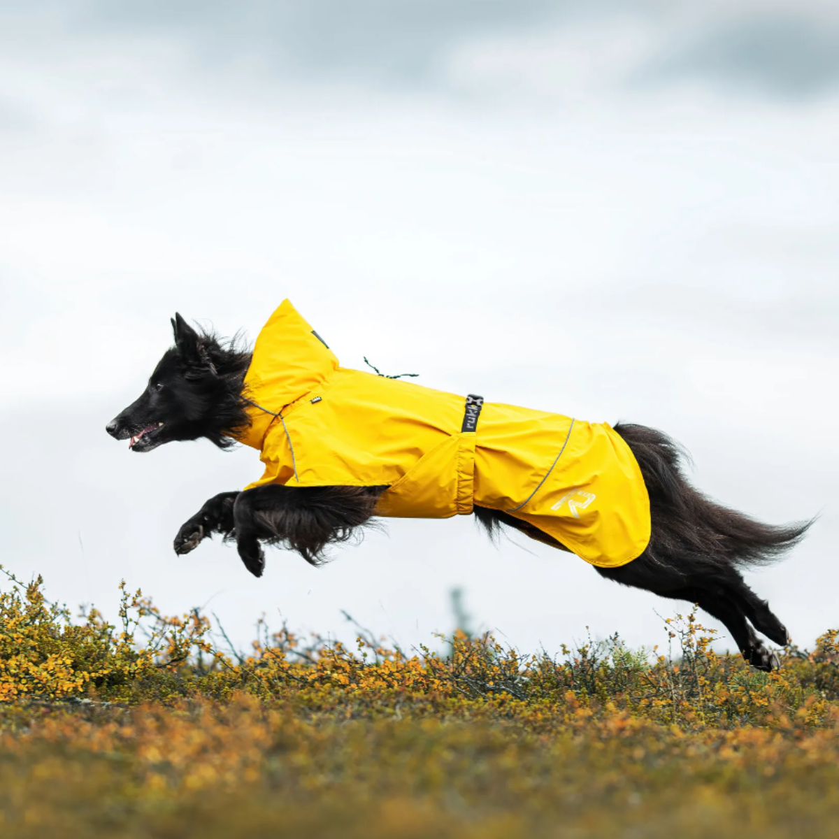 Rukka Pets Hayton X Dog Blanket Rain