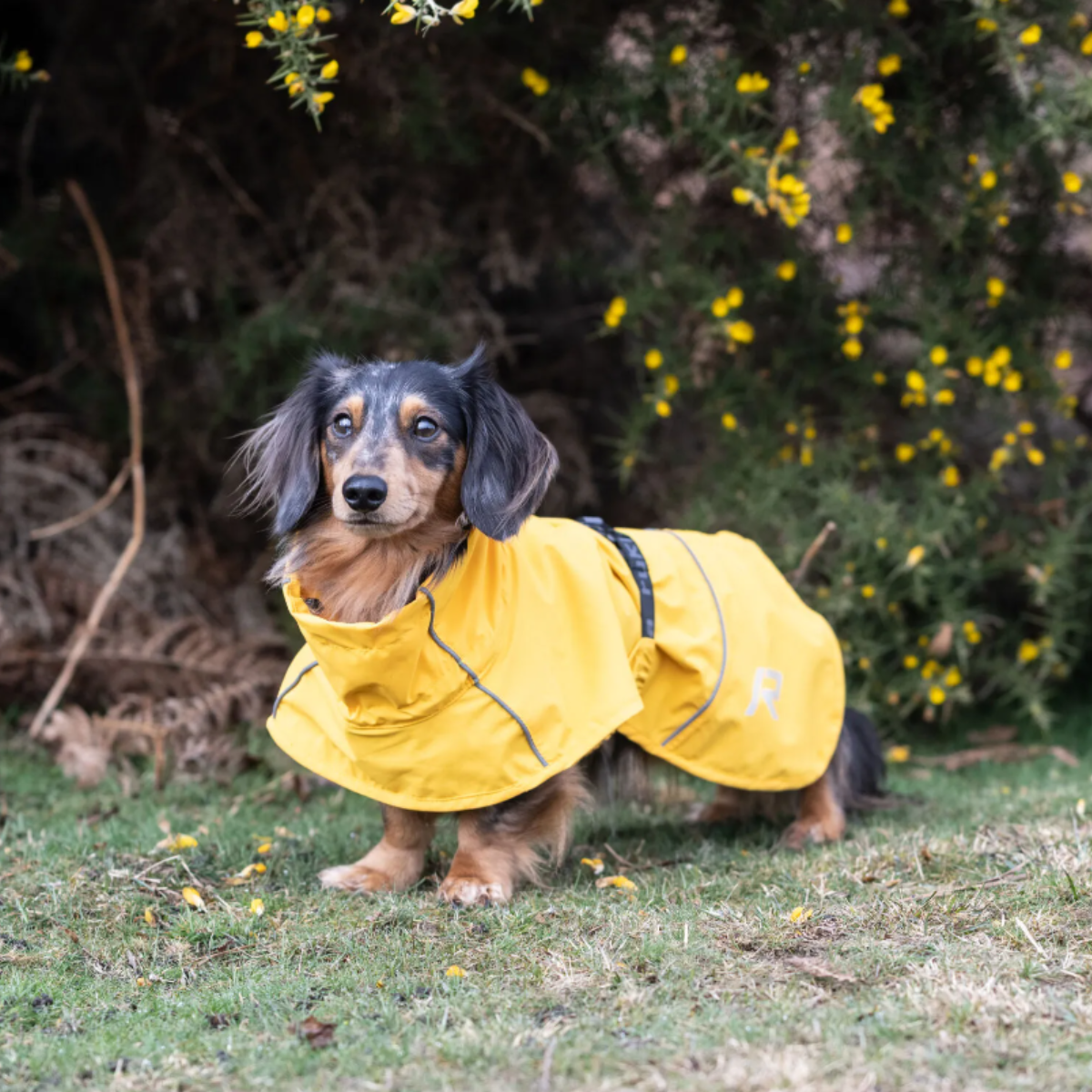 Rukka Pets Hayton X Dog Blanket Rain