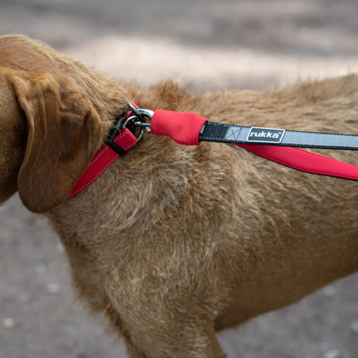 Rukka Pets Hike Joggingbälte