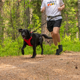Rukka Pets Hike Joggingbälte