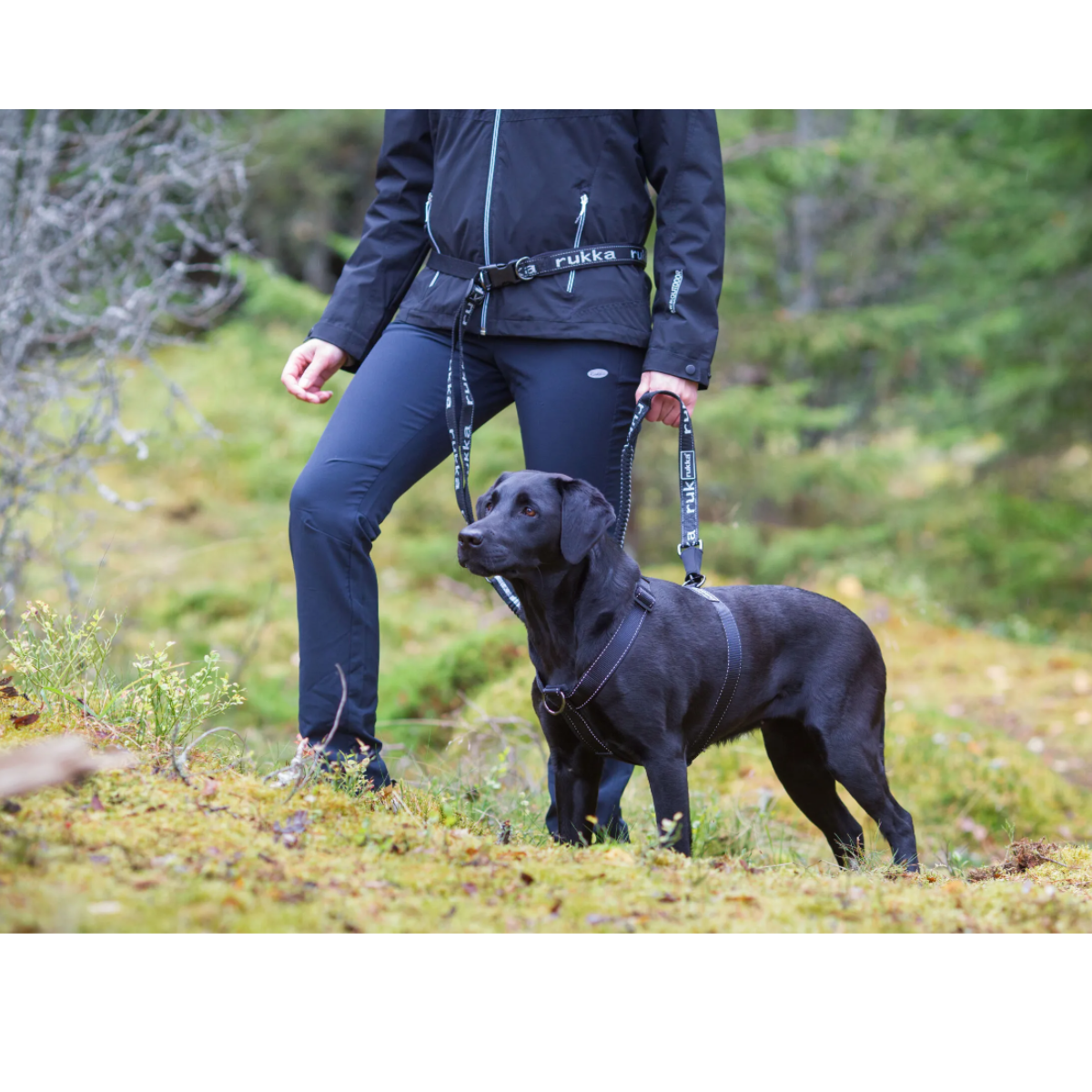 Rukka Pets Hike Trail Leash 