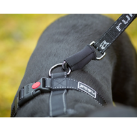 Rukka Pets Hike Trail Leash 