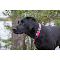 Rukka Pets Star Hundhalsband