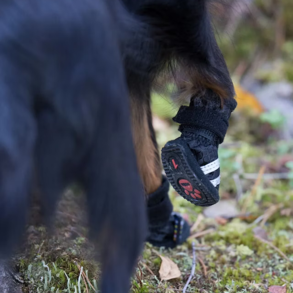 Rukka Pets Step Hundsko