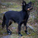 Rukka Pets Step Hundsko