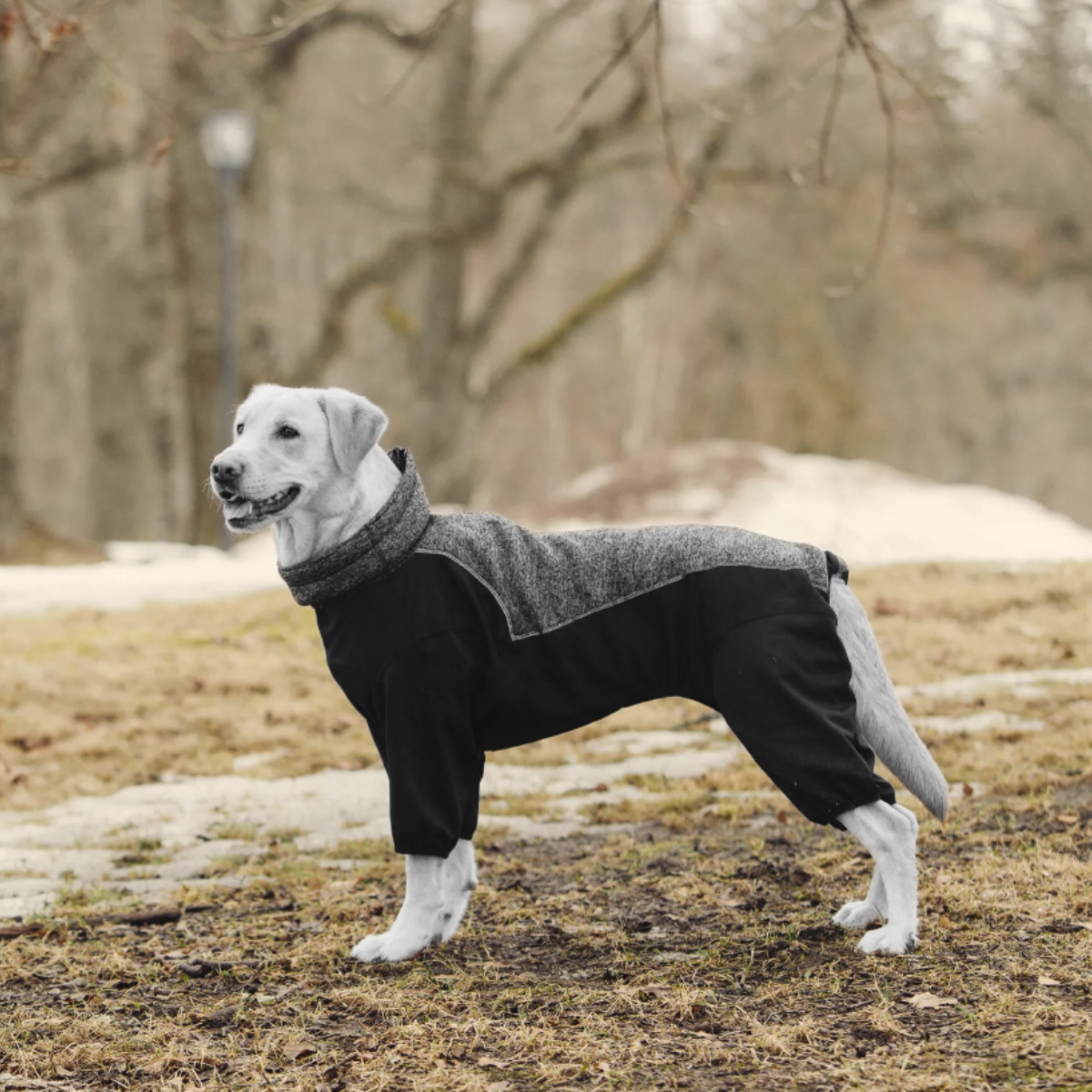 Rukka Pets Subrima Dog Overalls