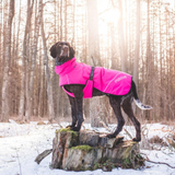 Rukka Pets WarmUp Hundtäcke