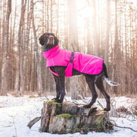 Rukka Pets WarmUp Hundtäcke