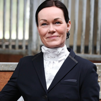 SD Design Crystal Dream Plastrong