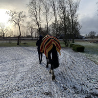 Shires Newmarket Wool Blanket