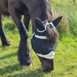 Shires Flughuva med öron och pannluggshål