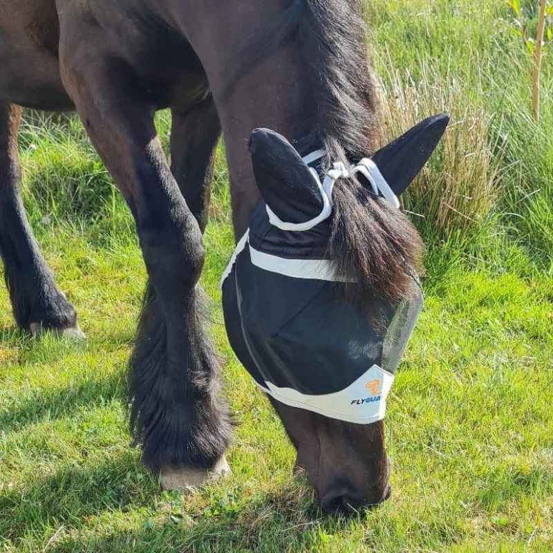 Shires Flughuva med öron och pannluggshål