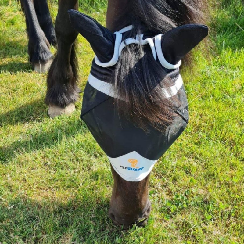 Shires Flughuva med öron och pannluggshål