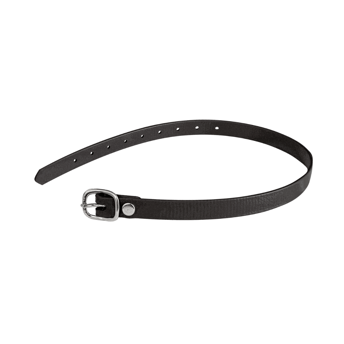 Sprenger Sporremmar Biothane