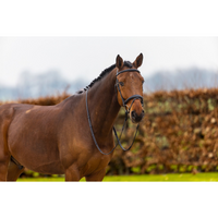 Trust Amsterdam Träns Anatomiskt komb.nosgrimma