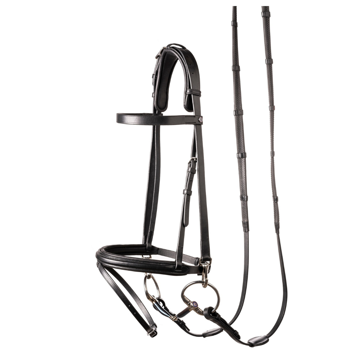 Trust Hamburg Training Träns